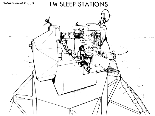 LM sleeping positions